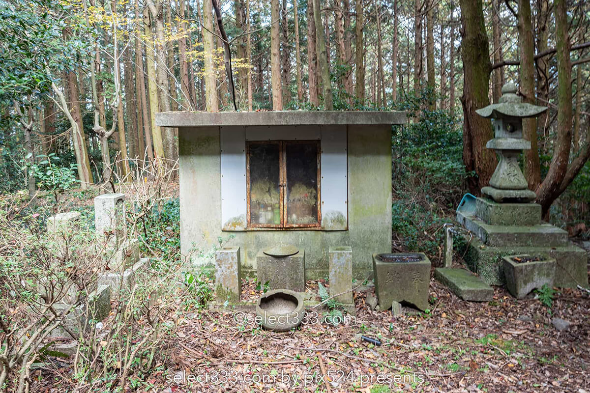鹿森住宅跡：山の斜面に石積みの住居群跡！まるで古代遺跡の風景！愛媛県にある山中の産業遺産