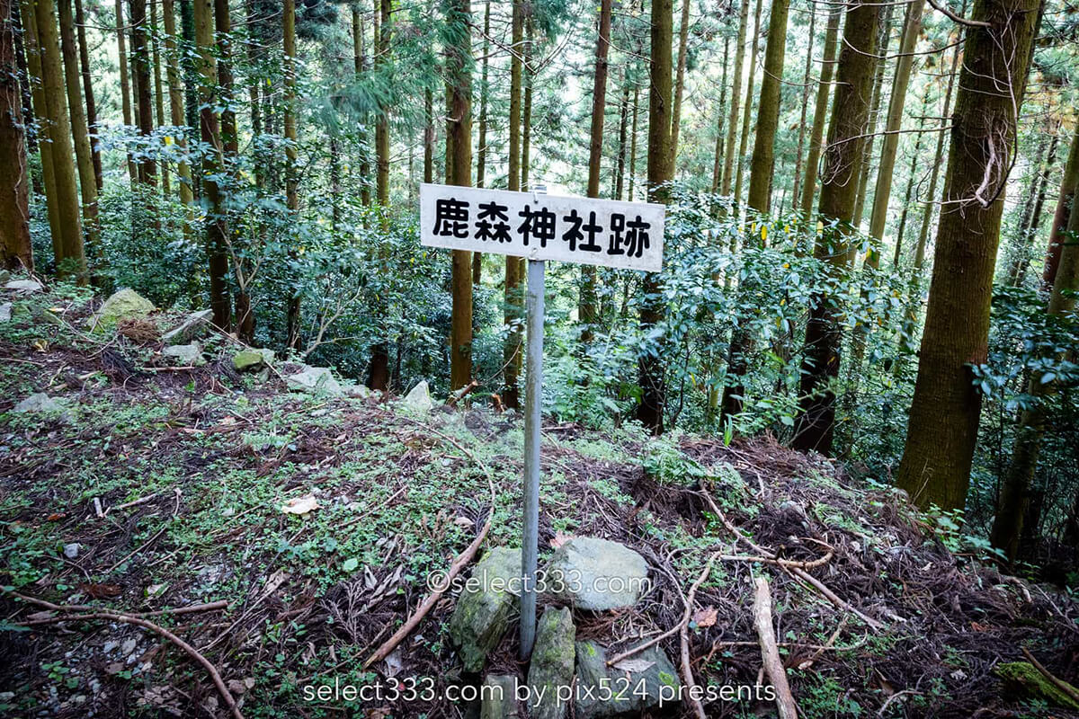 鹿森住宅跡：山の斜面に石積みの住居群跡！まるで古代遺跡の風景！愛媛県にある山中の産業遺産