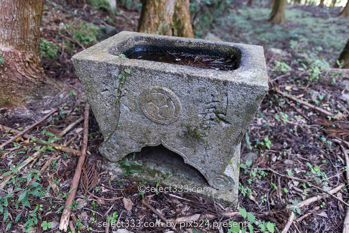 鹿森住宅跡：山の斜面に石積みの住居群跡！まるで古代遺跡の風景！愛媛県にある山中の産業遺産