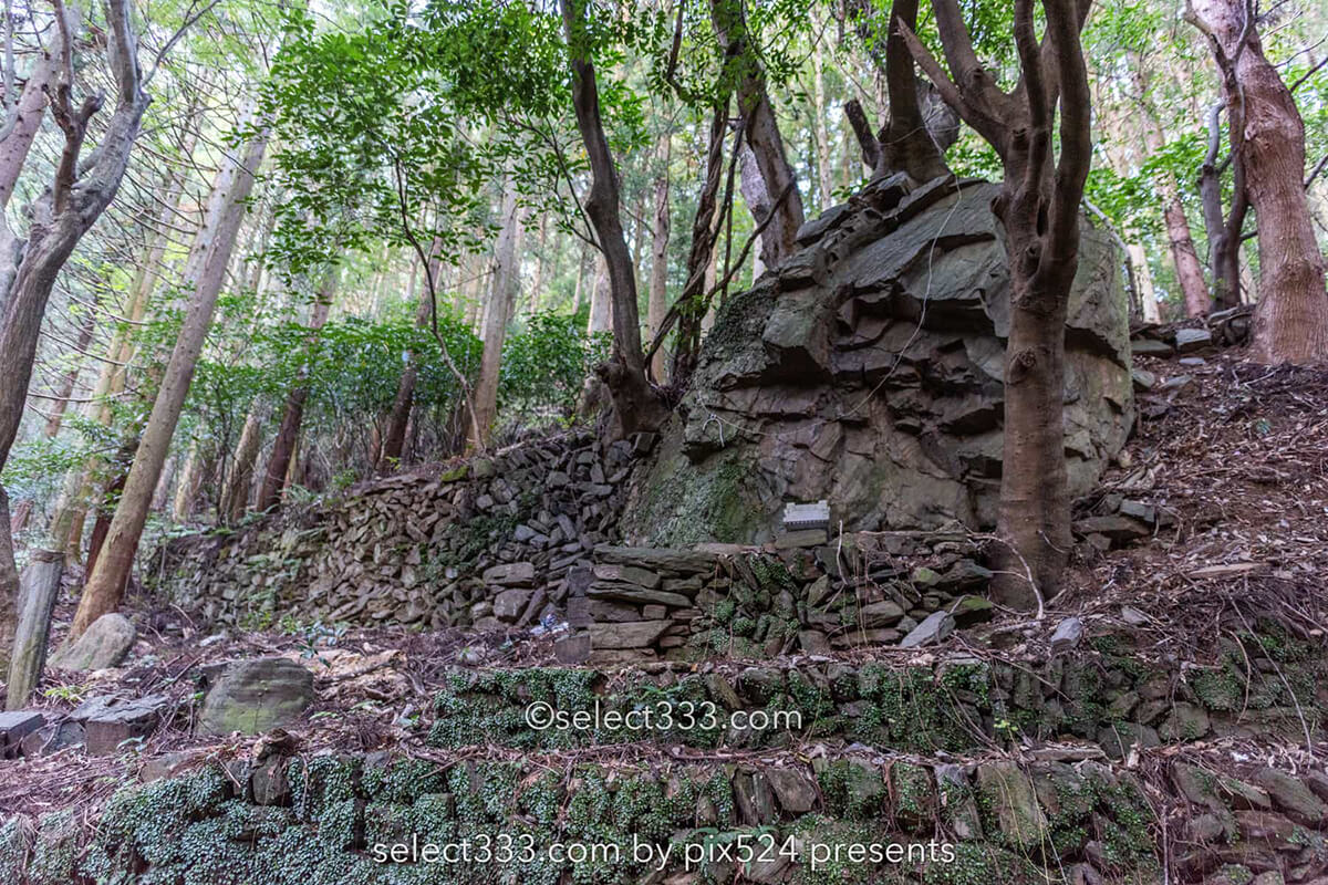 鹿森住宅跡：山の斜面に石積みの住居群跡！まるで古代遺跡の風景！愛媛県にある山中の産業遺産