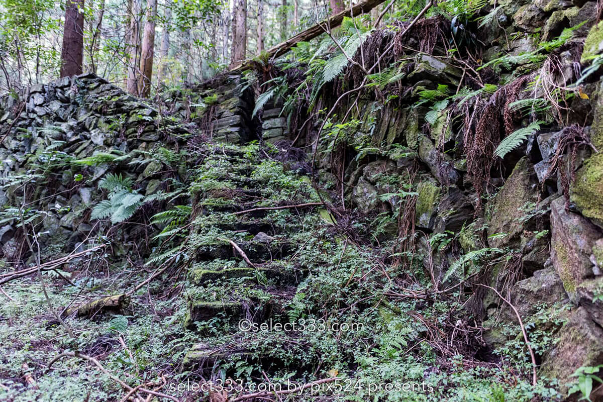 鹿森住宅跡：山の斜面に石積みの住居群跡！まるで古代遺跡の風景！愛媛県にある山中の産業遺産