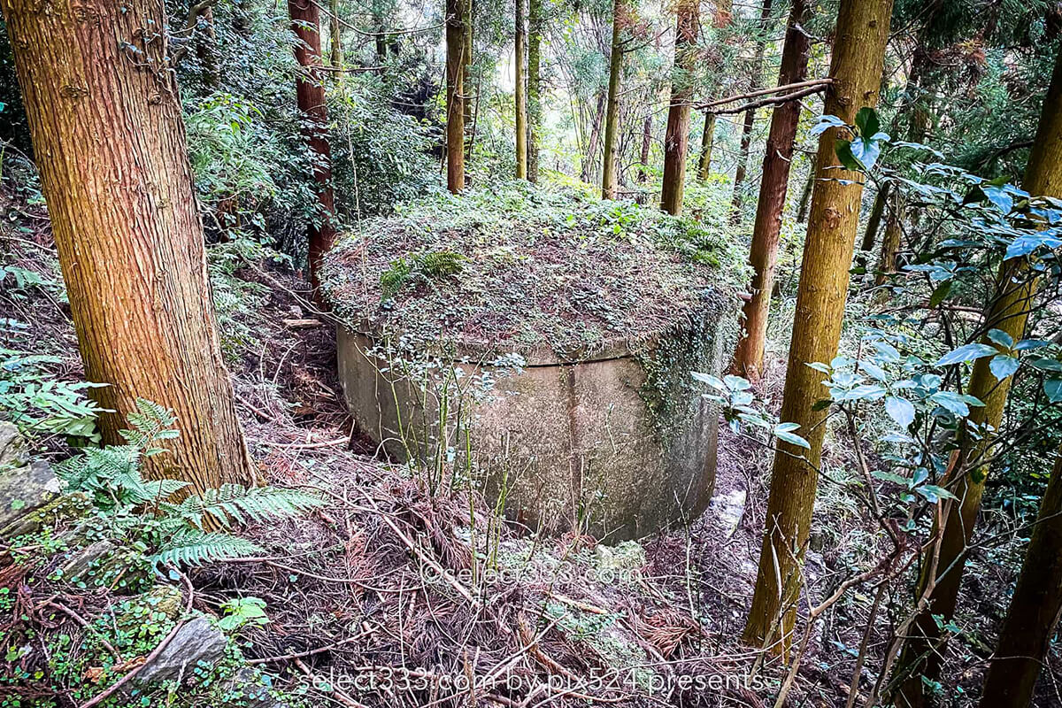 鹿森住宅跡：山の斜面に石積みの住居群跡！まるで古代遺跡の風景！愛媛県にある山中の産業遺産