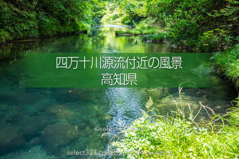 四万十川源流付近の風景！里山で見られる美しく透き通った沢！船戸河内五社神社と沢の景色