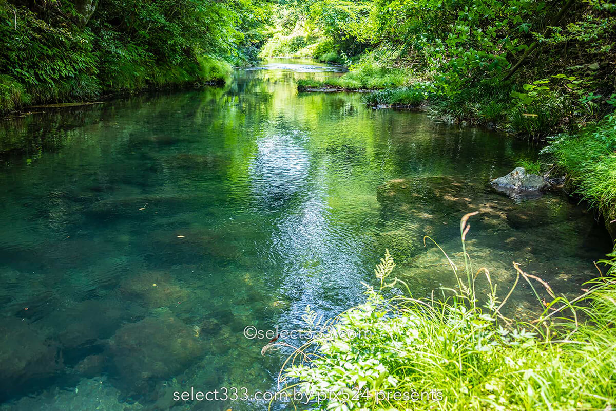 四万十川源流付近の風景！里山で見られる美しく透き通った沢！船戸河内五社神社と沢の景色