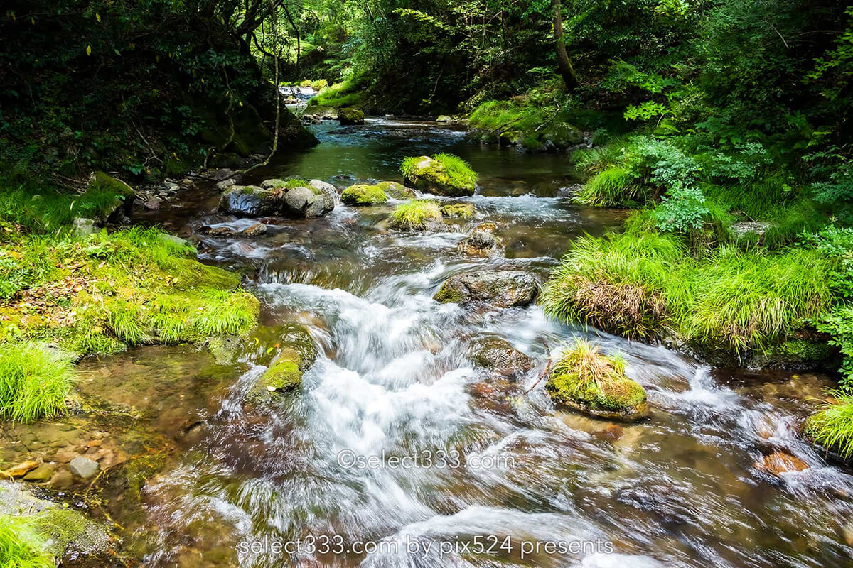 四万十川源流付近の風景！里山で見られる美しく透き通った沢！船戸河内五社神社と沢の景色
