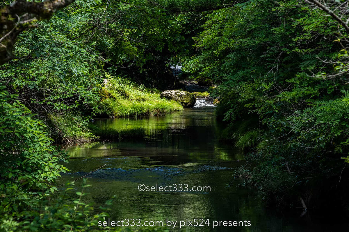 四万十川源流付近の風景！里山で見られる美しく透き通った沢！船戸河内五社神社と沢の景色