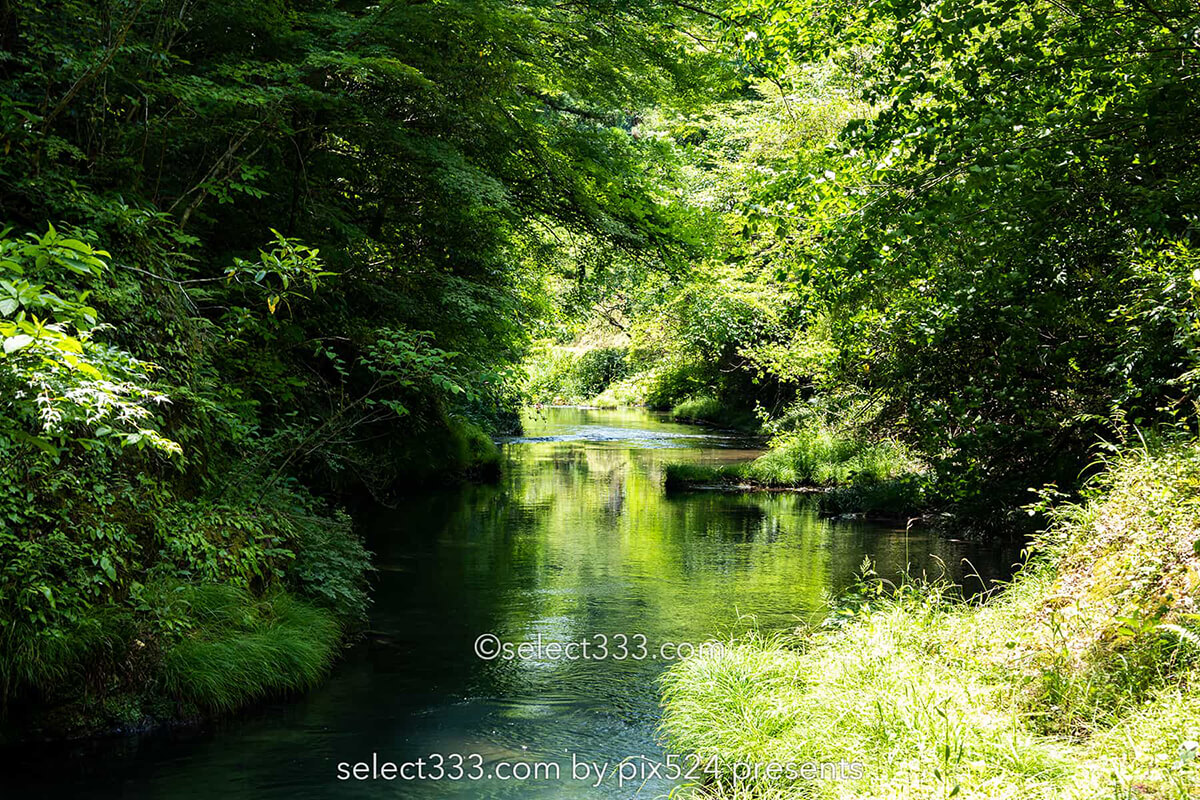 四万十川源流付近の風景！里山で見られる美しく透き通った沢！船戸河内五社神社と沢の景色