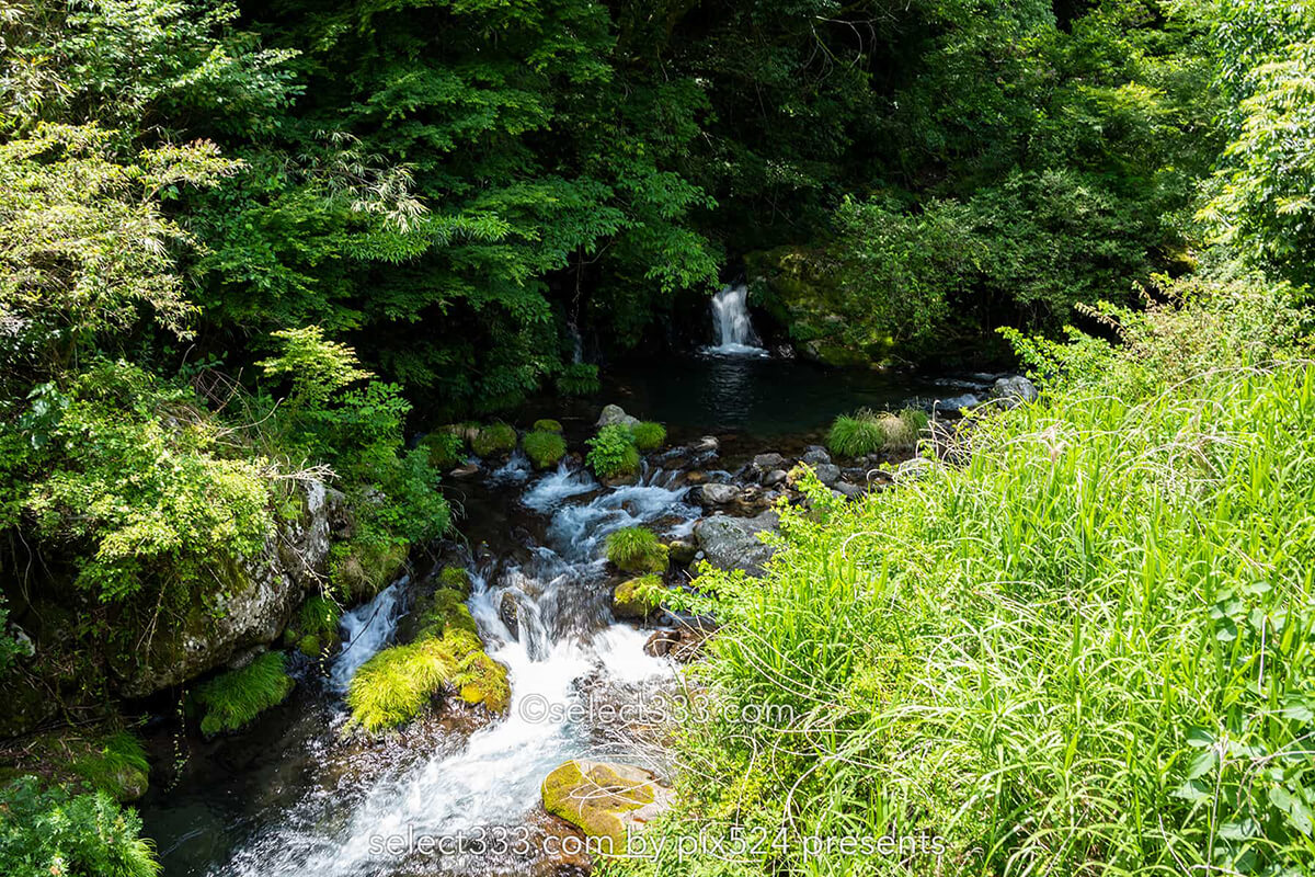 四万十川源流付近の風景！里山で見られる美しく透き通った沢！船戸河内五社神社と沢の景色