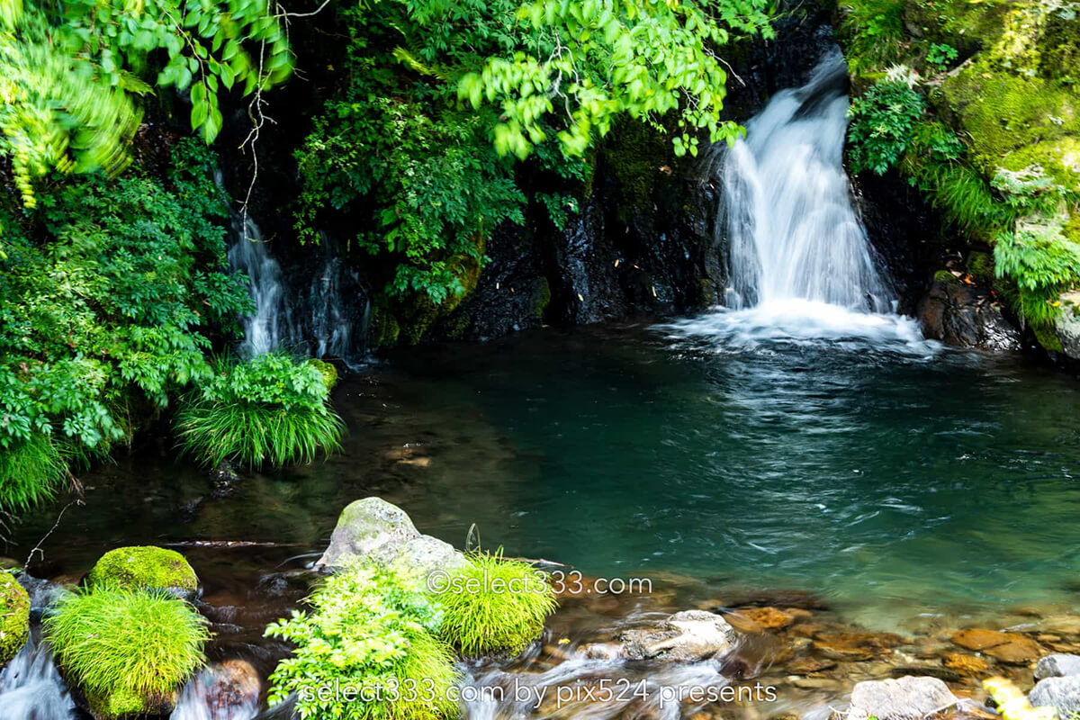 四万十川源流付近の風景！里山で見られる美しく透き通った沢！船戸河内五社神社と沢の景色