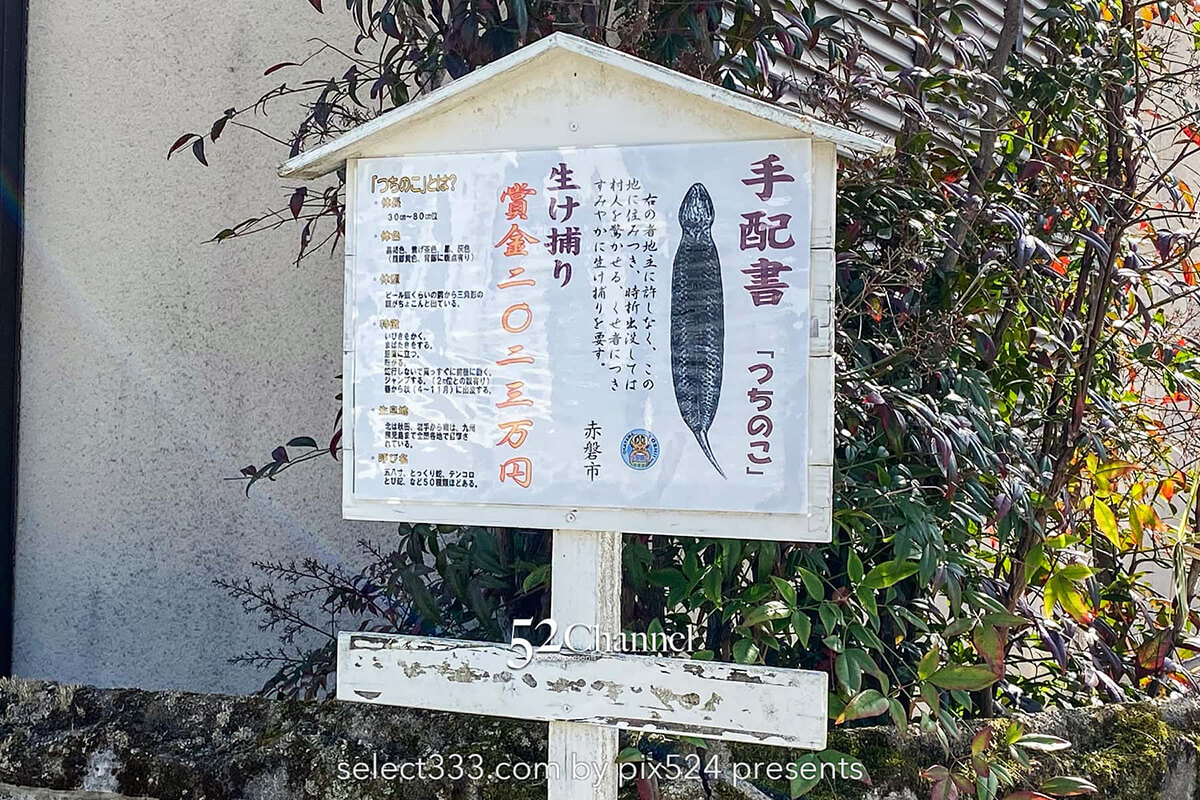 つちのこ発見現場吉井町！未確認生物ツチノコが埋葬されている町！岡山県不思議スポット