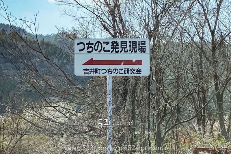 つちのこ発見現場吉井町！未確認生物ツチノコが埋葬されている町！岡山県不思議スポット