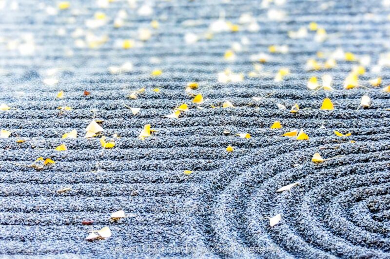 枯山水の様子：瑞應寺の紅葉！樹齢800年の大イチョウの黄葉と山門の秋景色！愛媛県の紅葉撮影地：写真を楽しむブログ photo by Masaya Konishi