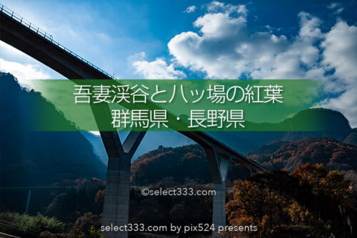 吾妻渓谷の紅葉と八ッ場！秋の日本ロマンチック街道ドライブ！群馬県の紅葉狩りに！