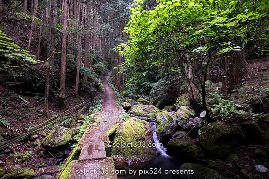 雨乞の滝:雄滝・雌滝の共演が美しい夫婦滝の風景!徳島県の名爆!山間に見られる数々の滝