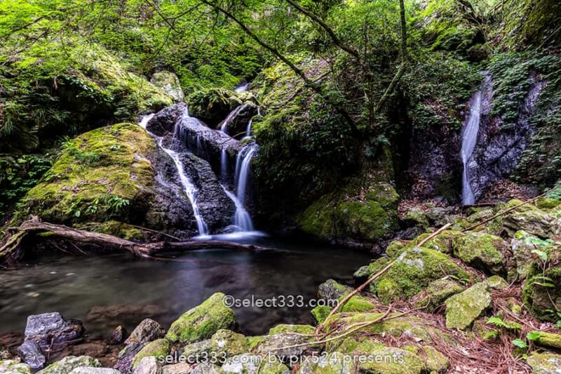雨乞の滝：雄滝・雌滝の共演が美しい夫婦滝の風景！徳島県の名爆！山間に見られる数々の滝