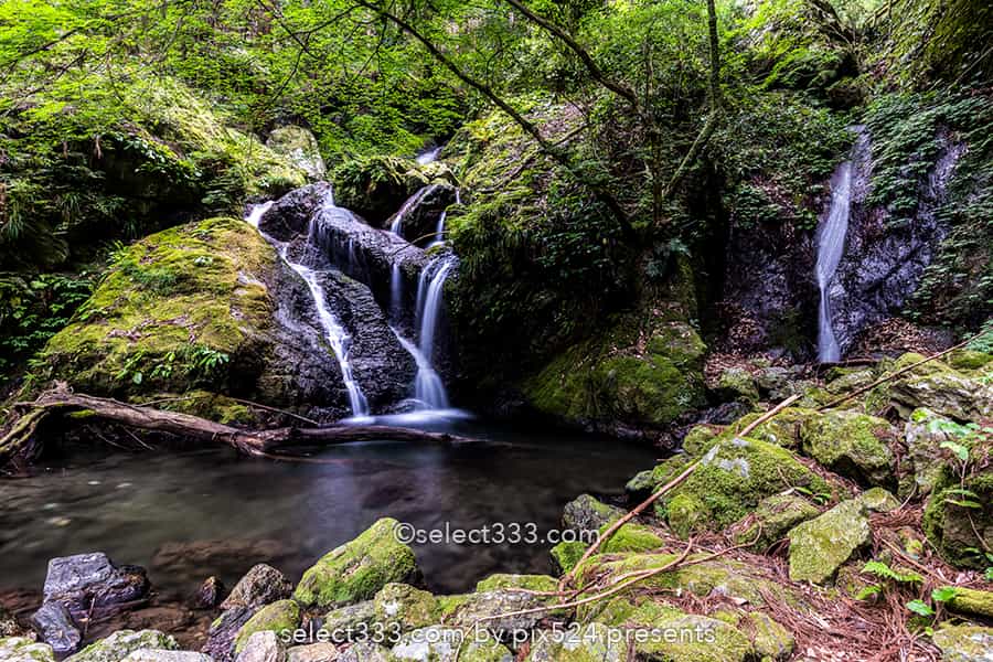 雨乞の滝:雄滝・雌滝の共演が美しい夫婦滝の風景!徳島県の名爆!山間に見られる数々の滝