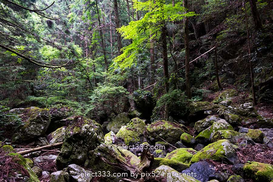 雨乞の滝:雄滝・雌滝の共演が美しい夫婦滝の風景!徳島県の名爆!山間に見られる数々の滝