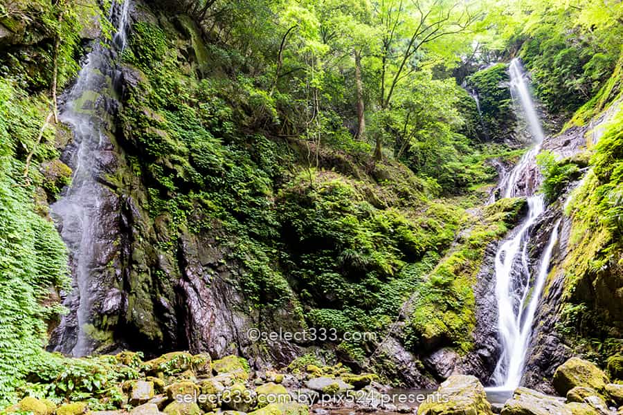雨乞の滝:雄滝・雌滝の共演が美しい夫婦滝の風景!徳島県の名爆!山間に見られる数々の滝