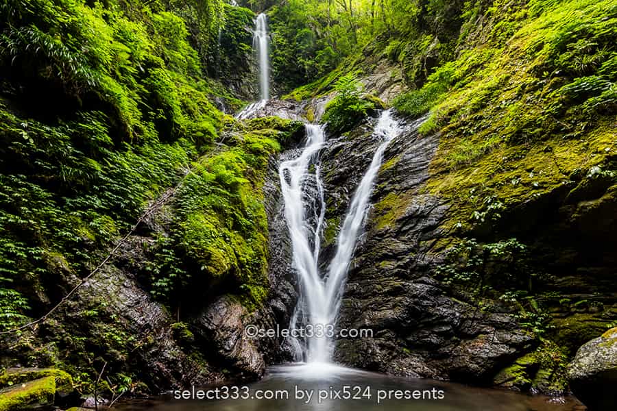 雨乞の滝:雄滝・雌滝の共演が美しい夫婦滝の風景!徳島県の名爆!山間に見られる数々の滝