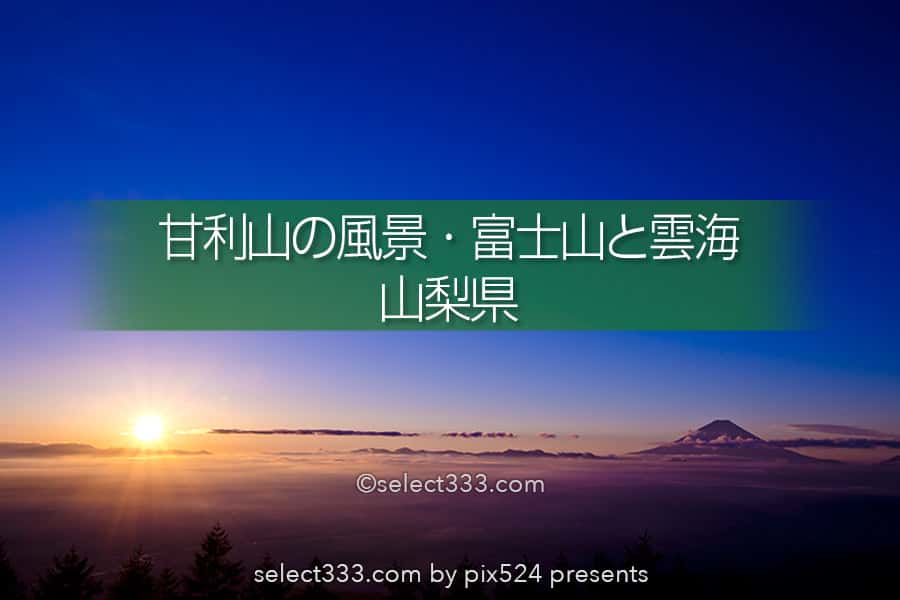 甘利山から見る風景 富士山と雲海 夜景の絶景ビューポイント 山梨県の 甘利山から見る風景 富士山と雲海 夜景の絶景ビューポイント 山梨県の