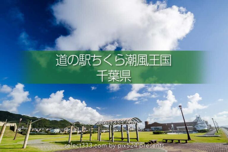 道の駅ちくら・潮風王国から日の出撮影！朝日と星空の撮影地！初日の出ポイント