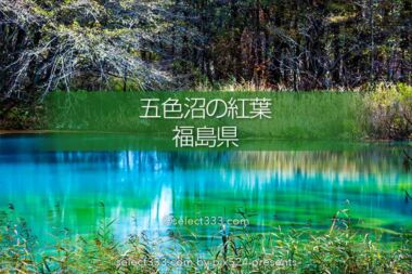 五色沼と裏磐梯の湖沼群巡り！エメラルドグリーンが美しい沼！避暑や紅葉期の観光エリア