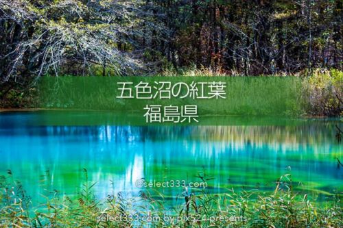 五色沼と裏磐梯の湖沼群巡り！エメラルドグリーンが美しい沼！避暑や紅葉期の観光エリア