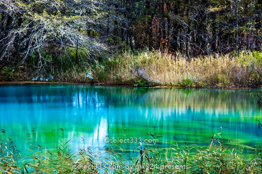 五色沼湖沼群と裏磐梯の沼巡り！エメラルドグリーンが美しい沼！避暑や紅葉期の観光エリア