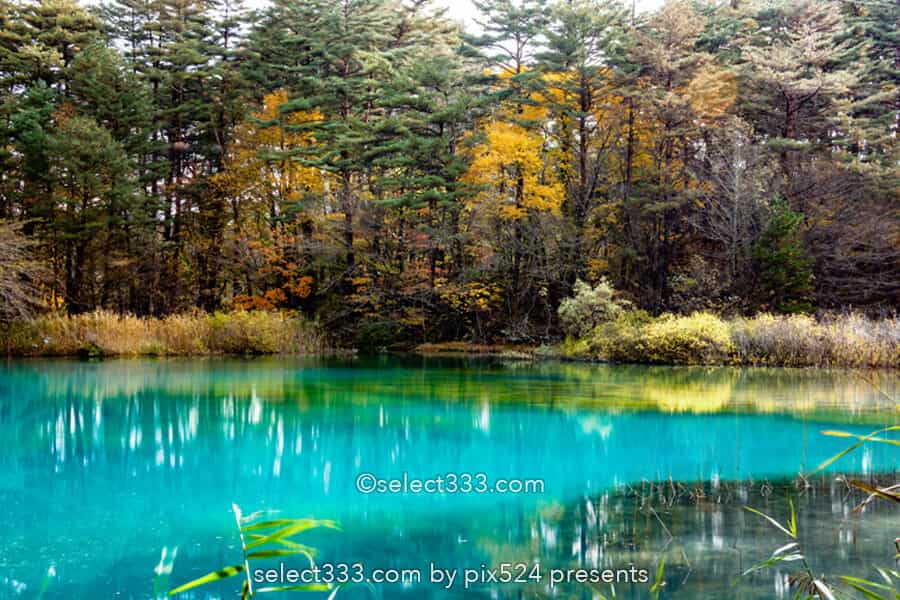 五色沼湖沼群と裏磐梯の沼巡り！エメラルドグリーンが美しい沼！避暑や紅葉期の観光エリア