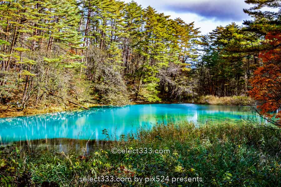 五色沼湖沼群と裏磐梯の沼巡り！エメラルドグリーンが美しい沼！避暑や紅葉期の観光エリア
