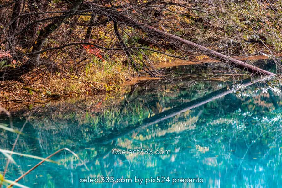 五色沼湖沼群と裏磐梯の沼巡り！エメラルドグリーンが美しい沼！避暑や紅葉期の観光エリア