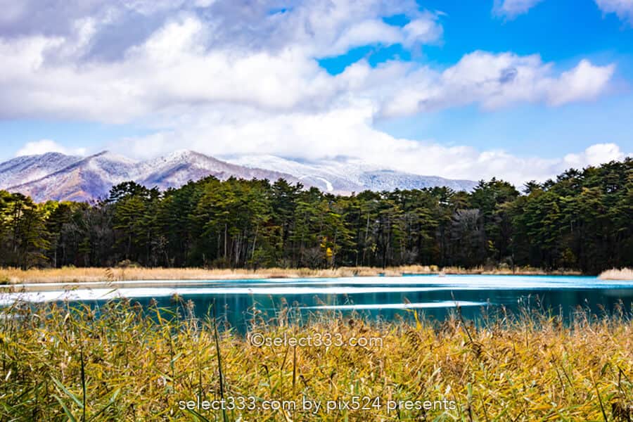 五色沼湖沼群と裏磐梯の沼巡り！エメラルドグリーンが美しい沼！避暑や紅葉期の観光エリア