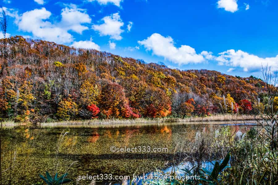 五色沼湖沼群と裏磐梯の沼巡り！エメラルドグリーンが美しい沼！避暑や紅葉期の観光エリア