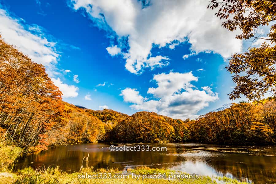 五色沼湖沼群と裏磐梯の沼巡り！エメラルドグリーンが美しい沼！避暑や紅葉期の観光エリア