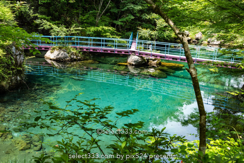 白龍湖の風景〜透明度抜群！翡翠色の美しい池〜神秘的エリア！魅力のフォトスポット