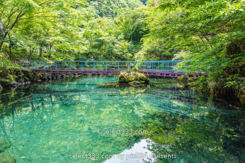 白龍湖の風景〜透明度抜群！翡翠色の美しい池〜神秘的エリア！魅力のフォトスポット