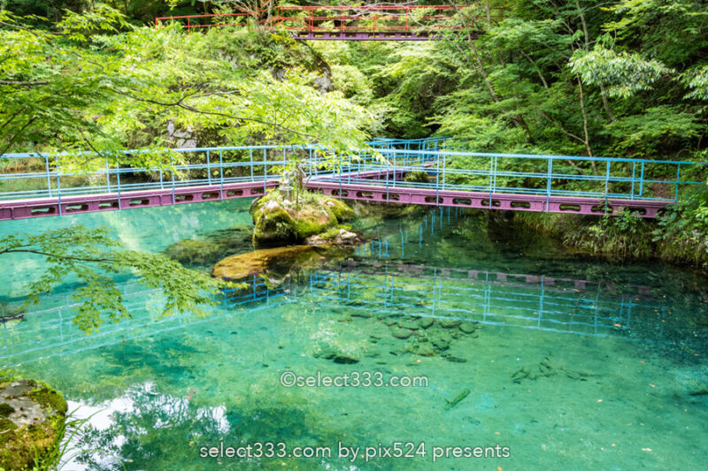 白龍湖の風景〜透明度抜群！翡翠色の美しい池〜神秘的エリア！魅力のフォトスポット