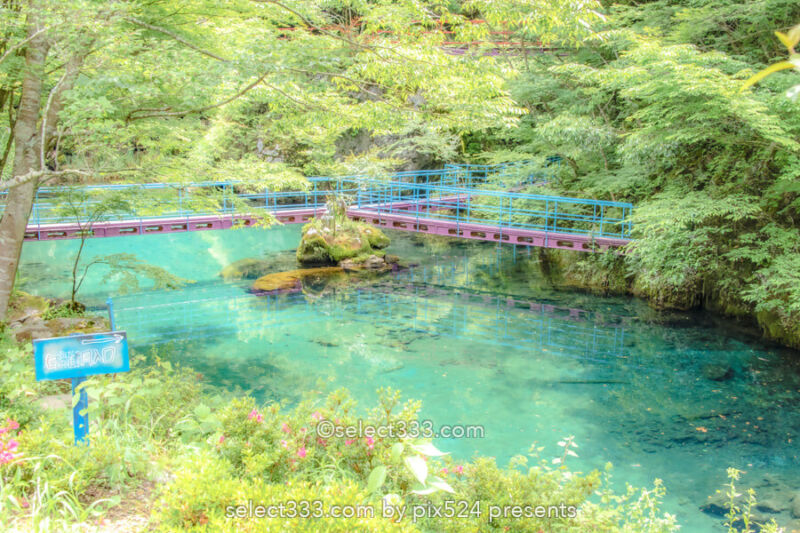 白龍湖の風景〜透明度抜群！翡翠色の美しい池〜神秘的エリア！魅力のフォトスポット