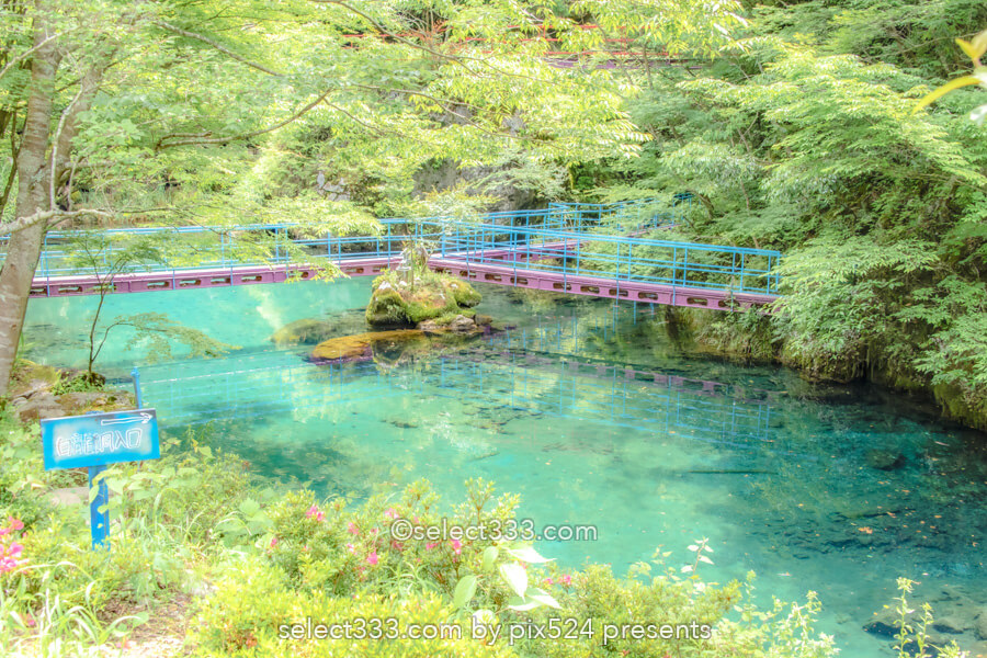 白龍湖の風景〜透明度抜群！翡翠色の美しい池〜神秘的エリア！魅力のフォトスポット