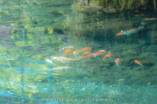 白龍湖の風景〜透明度抜群！翡翠色の美しい池〜神秘的エリア！魅力のフォトスポット