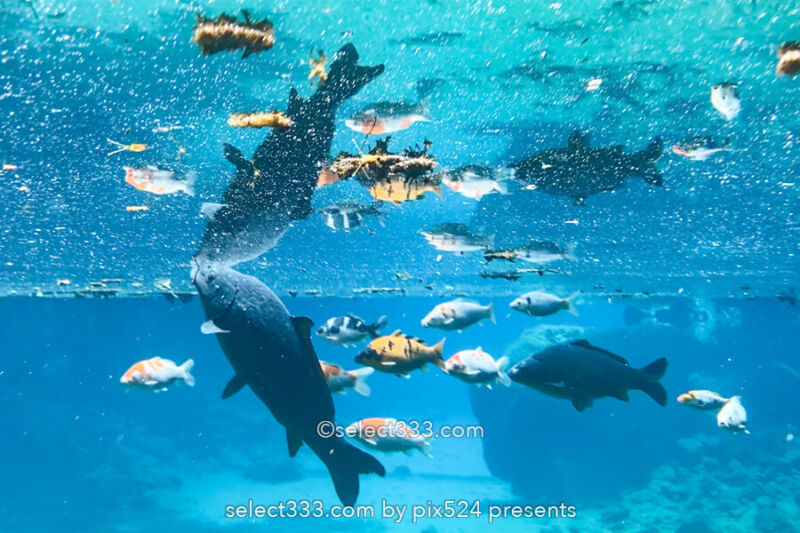 白龍湖の風景〜透明度抜群！翡翠色の美しい池〜神秘的エリア！魅力のフォトスポット