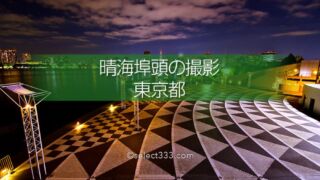 晴海ふ頭公園と客船ターミナルの夜景！変貌する晴海埠頭エリア！東京夜景デートスポット