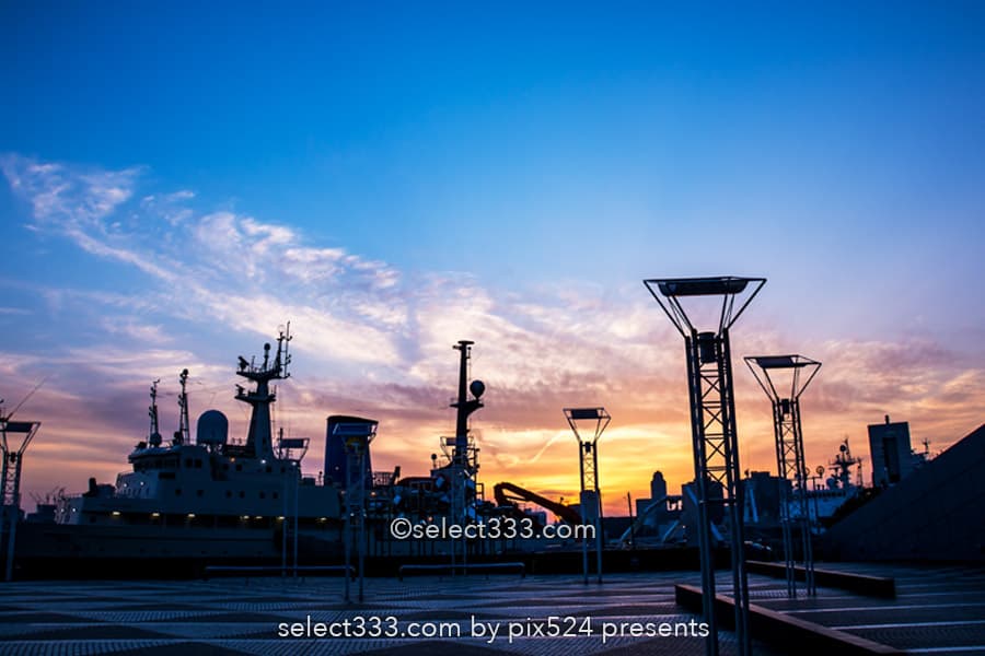 晴海ふ頭公園と客船ターミナルの夜景！変貌する晴海埠頭エリア！東京夜景デートスポット