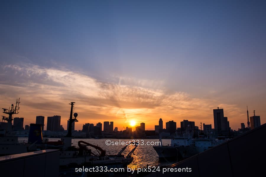晴海ふ頭公園と客船ターミナルの夜景！変貌する晴海埠頭エリア！東京夜景デートスポット