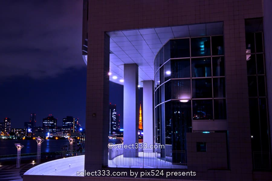 晴海ふ頭公園と客船ターミナルの夜景！変貌する晴海埠頭エリア！東京夜景デートスポット