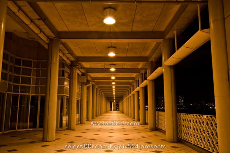 晴海ふ頭公園と客船ターミナルの夜景！変貌する晴海埠頭エリア！東京夜景デートスポット