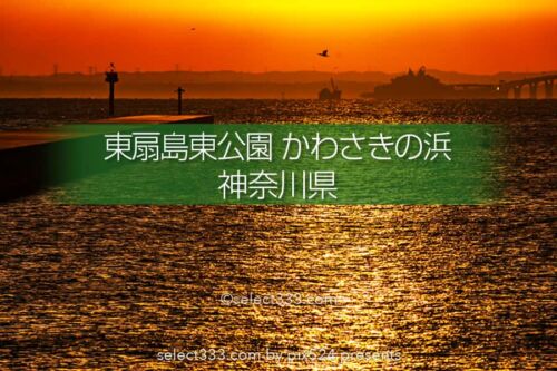 東扇島東公園かわさきの浜の朝日撮影！東京湾岸日の出スポット！アクアラインが見える地