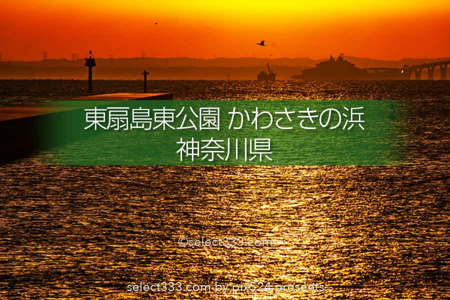 東扇島東公園かわさきの浜の朝日撮影！東京湾岸日の出スポット！アクアラインが見える地