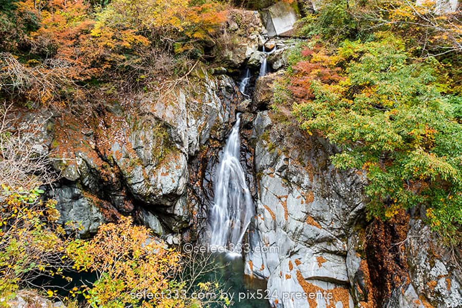 別子保土野渓谷紅葉見頃と甌穴群（おうけつぐん）別子道寄り道処！秋の風景と自然の足跡