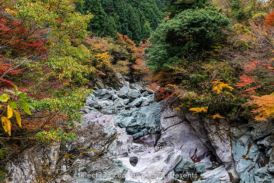 別子保土野渓谷紅葉見頃と甌穴群（おうけつぐん）別子道寄り道処！秋の風景と自然の足跡